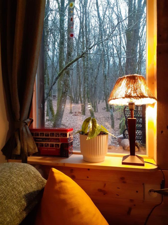 Le Gite De La Cabane De L'Oiseau Couze-et-Saint-Front 외부 사진