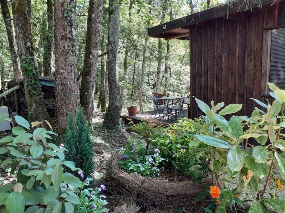 Le Gite De La Cabane De L'Oiseau Couze-et-Saint-Front 외부 사진