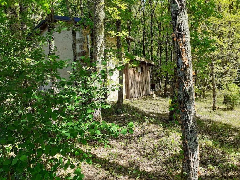 Le Gite De La Cabane De L'Oiseau Couze-et-Saint-Front 외부 사진